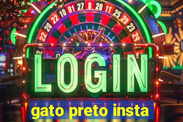 gato preto insta